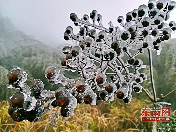 冬日添美景 三明多地降雪现雾凇冰挂 