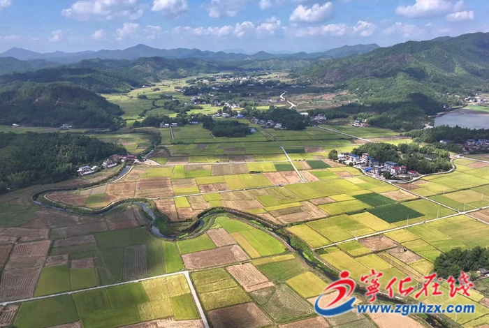 宁化:机械化收割奏响丰收乐章