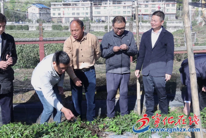 水茜镇水茜村：“科技村落”通过验收 科技赋能乡村振兴