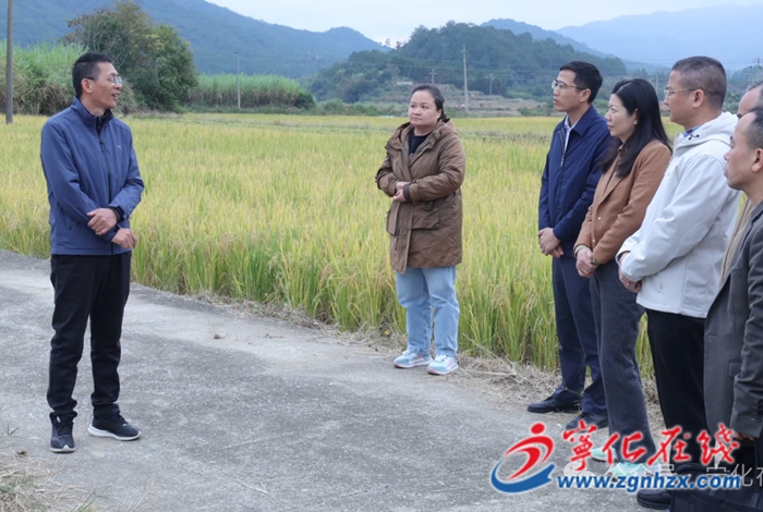 宁化：牡蛎壳“跨界”当肥料 让千亩酸土变沃土