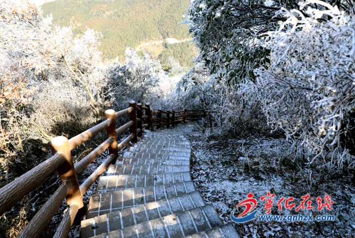 寒潮来袭！这些防冻措施要知道