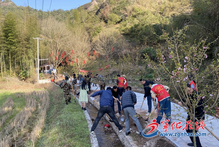 “添绿”正当时！宁化各界开展植树节主题活动